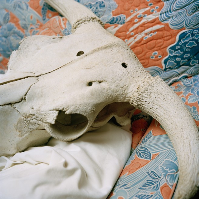 Art and Documentary Photography - Loading Girner_Sarah14.jpg
