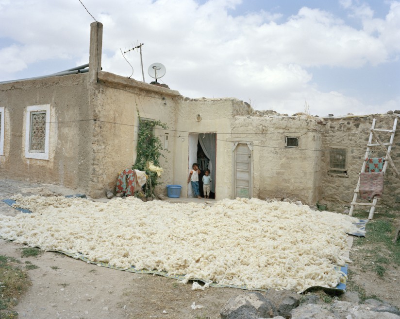 Art and Documentary Photography - Loading ABFV-6.jpg