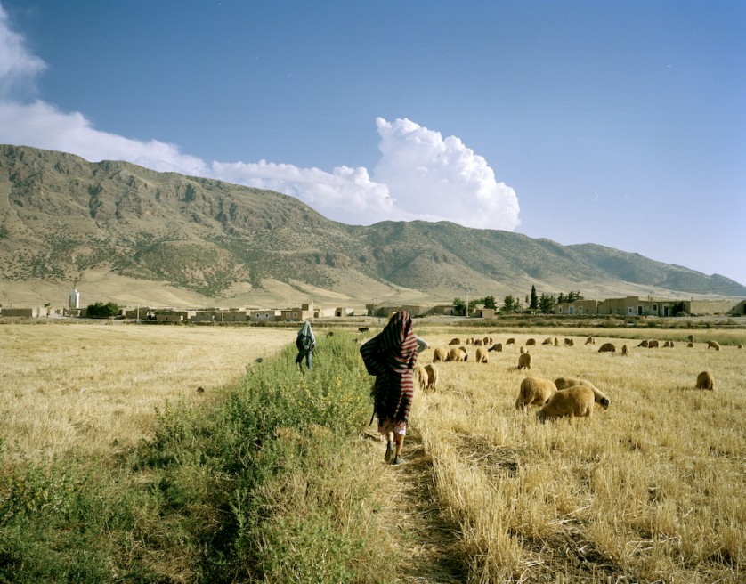 Art and Documentary Photography - Loading ABFV-19.jpg