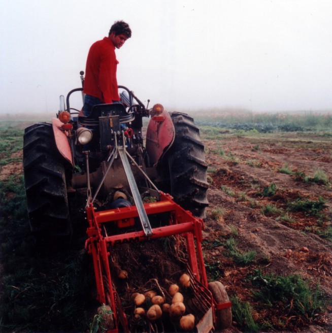 Art and Documentary Photography - Loading 14of20-davidson-potatoeharvesttractor.jpg