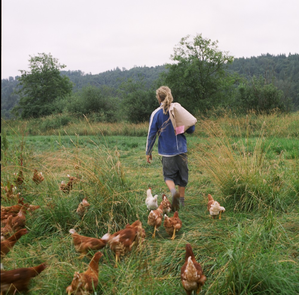 Art and Documentary Photography - Loading 15of20-davidson-blakefeedingchickens.jpg