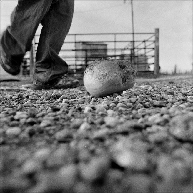 Art and Documentary Photography - Loading 0016.jpg
