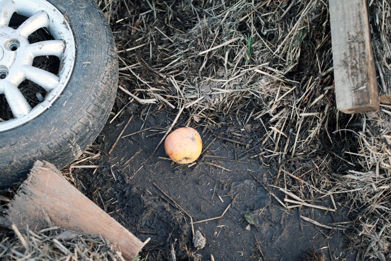 Art and Documentary Photography - Loading maeda_20.jpg