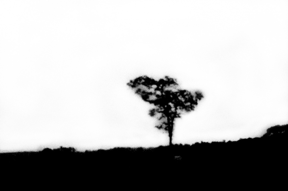 Art and Documentary Photography - Loading LOOMING_0003.JPG
