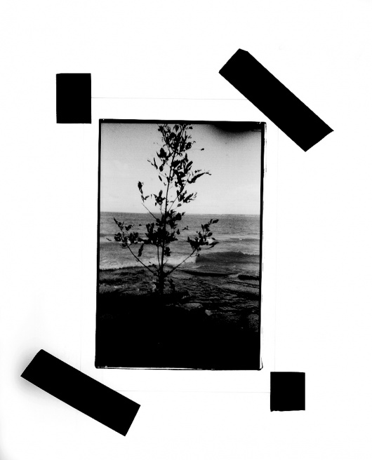 Art and Documentary Photography - Loading LOOMING_0044.JPG