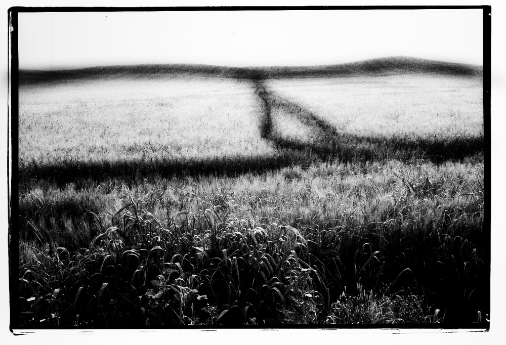 Art and Documentary Photography - Loading LOOMING_0079.JPG