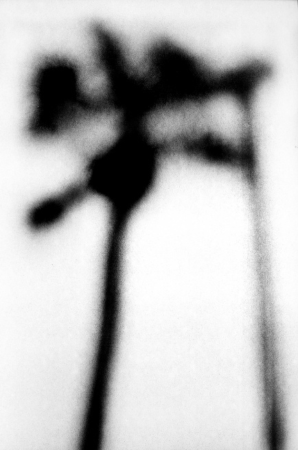 Art and Documentary Photography - Loading LOOMING_0080.JPG