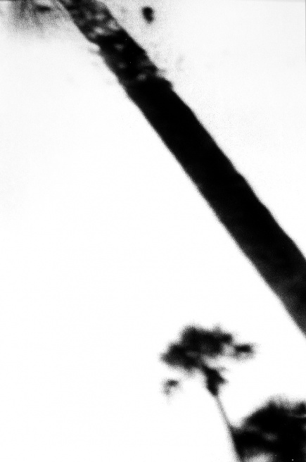 Art and Documentary Photography - Loading LOOMING_0094.JPG
