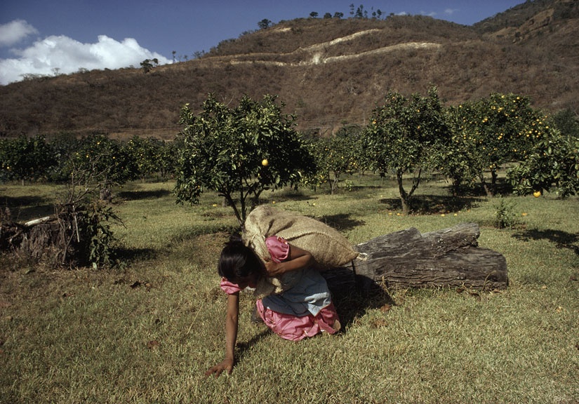 Art and Documentary Photography - Loading 002 copy.jpg