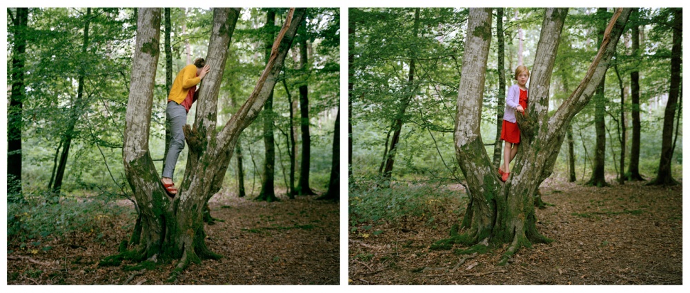 Art and Documentary Photography - Loading woods.jpg