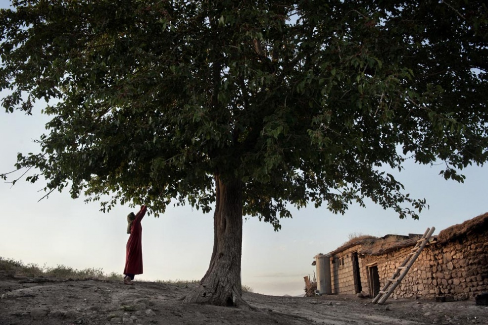 Art and Documentary Photography - Loading Meyer_18.jpg