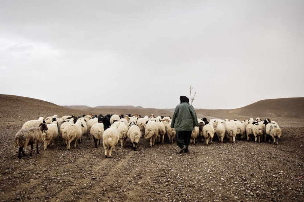 Art and Documentary Photography - Loading Meyer_30.jpg