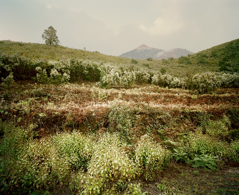 Art and Documentary Photography - Loading El_Teide_07_end.jpg