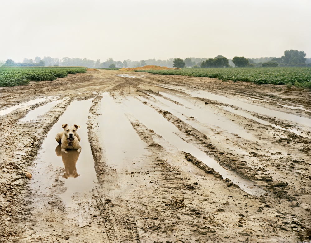 Art and Documentary Photography - Loading 02_Without you.jpg