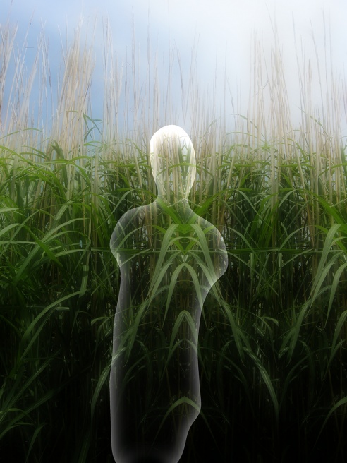 Absorbing Loss.jpg