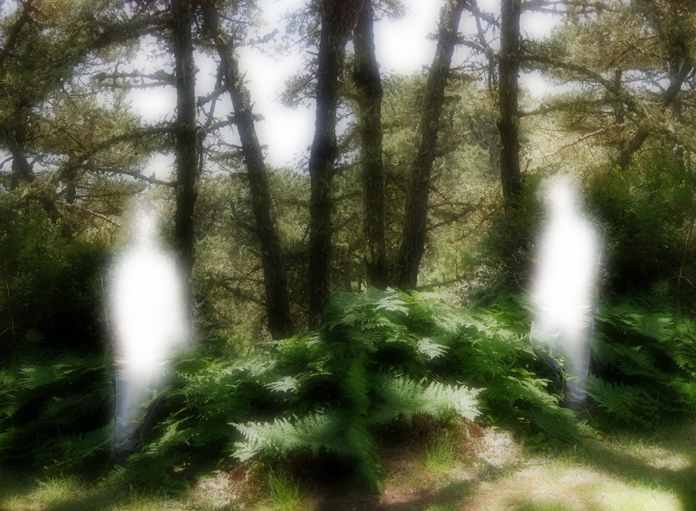 Facing the Other.jpg