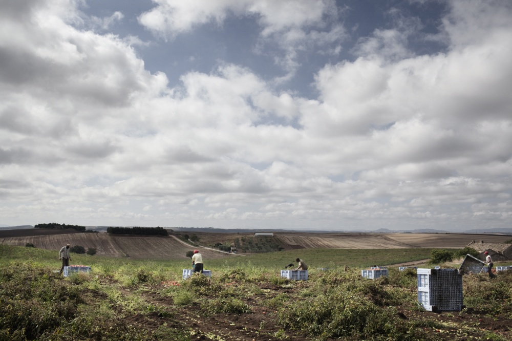 Art and Documentary Photography - Loading AlessandroPenso_MigrantWorkers03.JPG