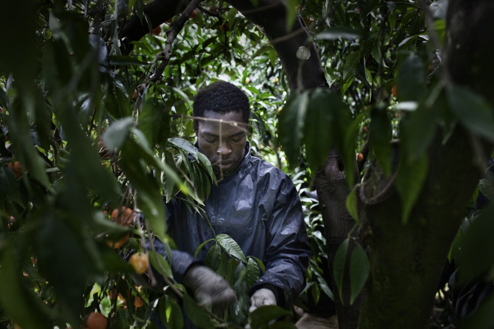 Art and Documentary Photography - Loading AlessandroPenso_MigrantWorkers05.JPG