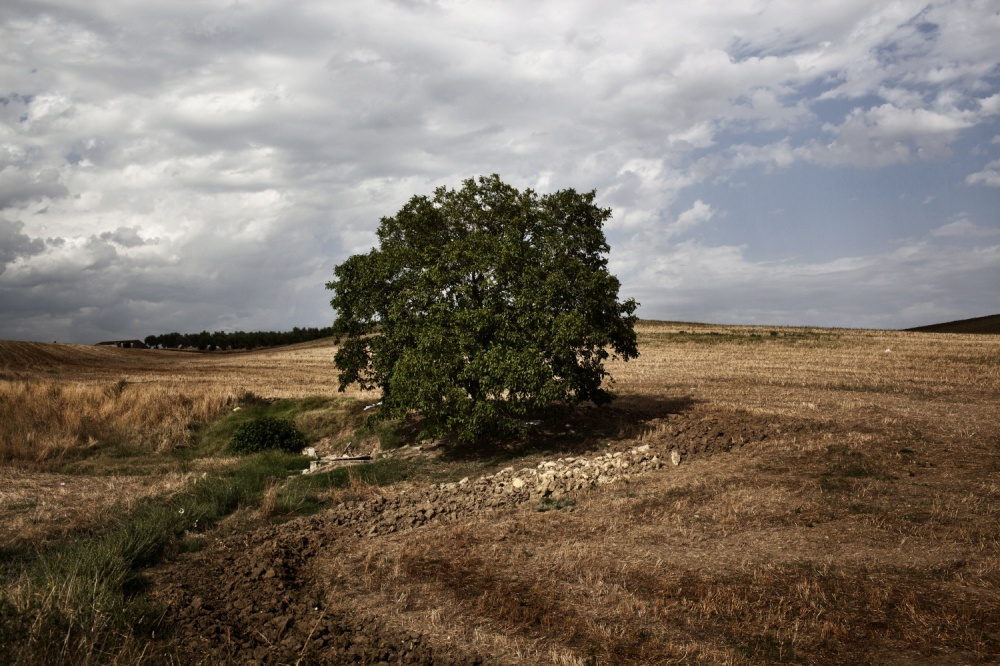 Art and Documentary Photography - Loading AlessandroPenso_MigrantWorkers06.JPG