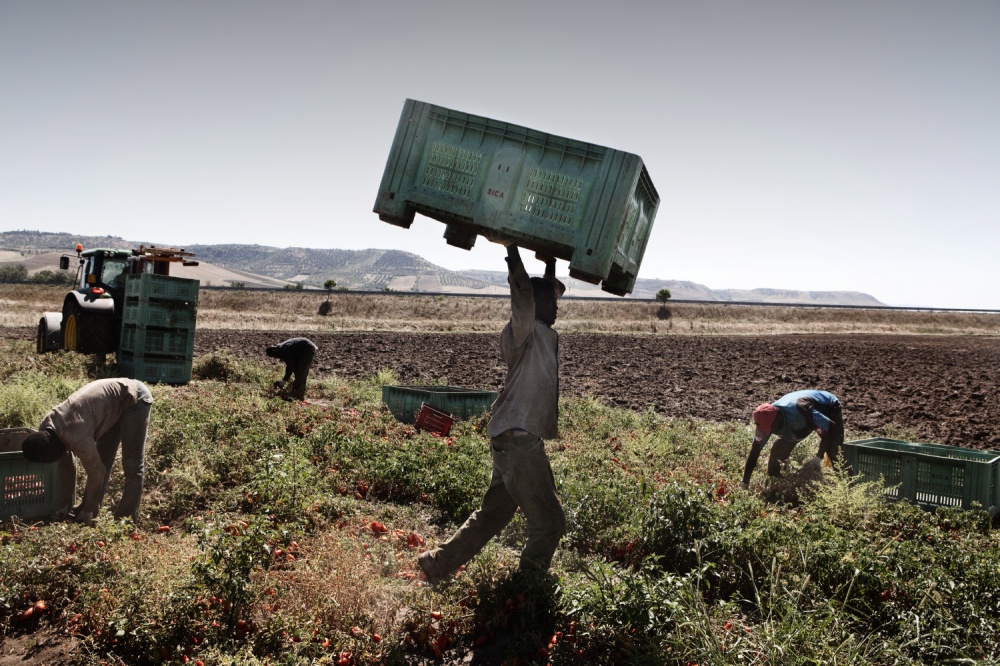 Art and Documentary Photography - Loading AlessandroPenso_MigrantWorkers10.JPG