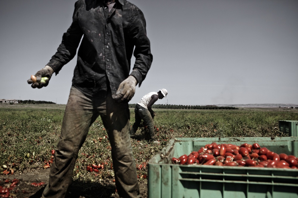 Art and Documentary Photography - Loading AlessandroPenso_MigrantWorkers11.JPG