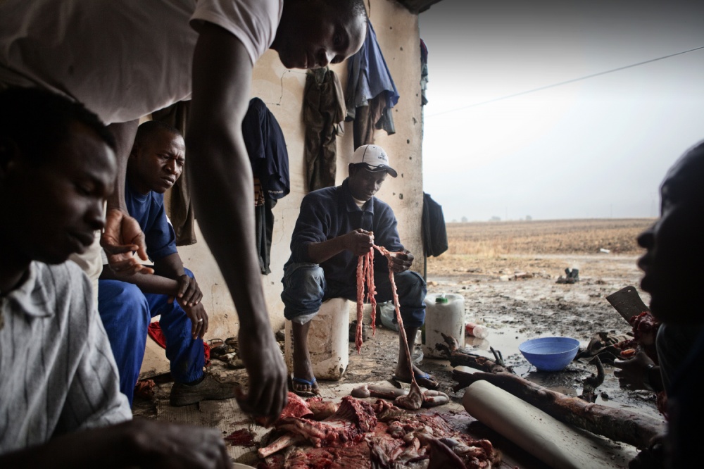 Art and Documentary Photography - Loading AlessandroPenso_MigrantWorkers16.JPG