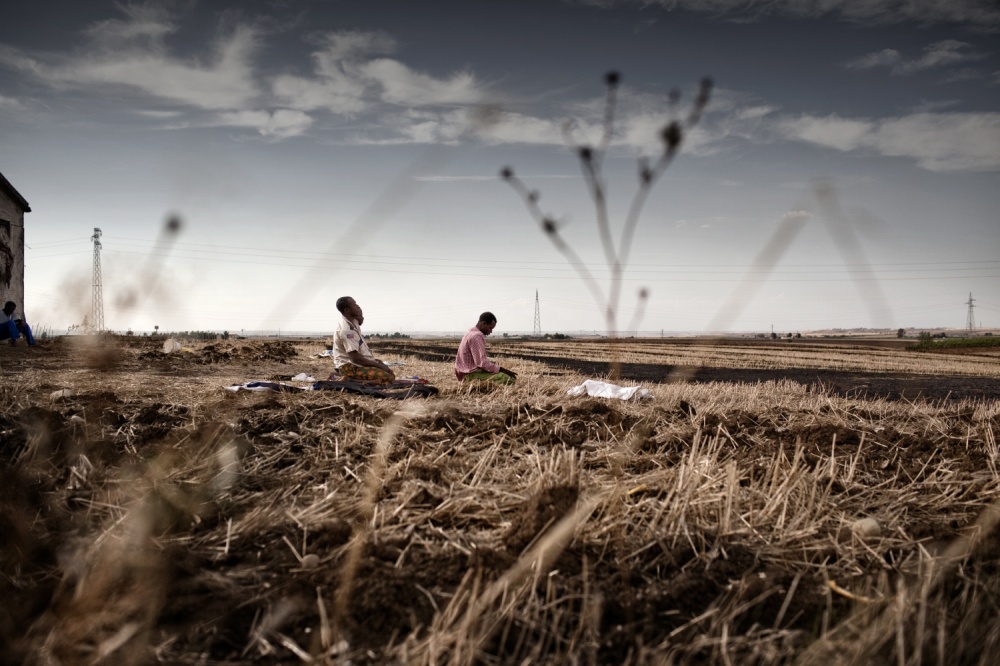 Art and Documentary Photography - Loading AlessandroPenso_MigrantWorkers41.JPG