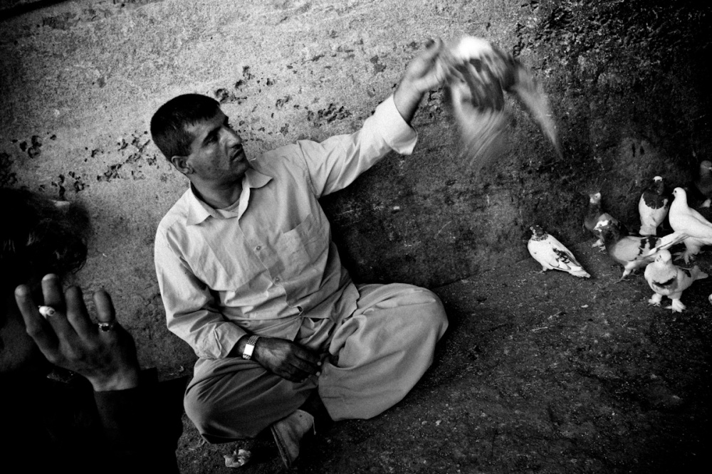 Art and Documentary Photography - Loading Iraq_Visura_33.jpg