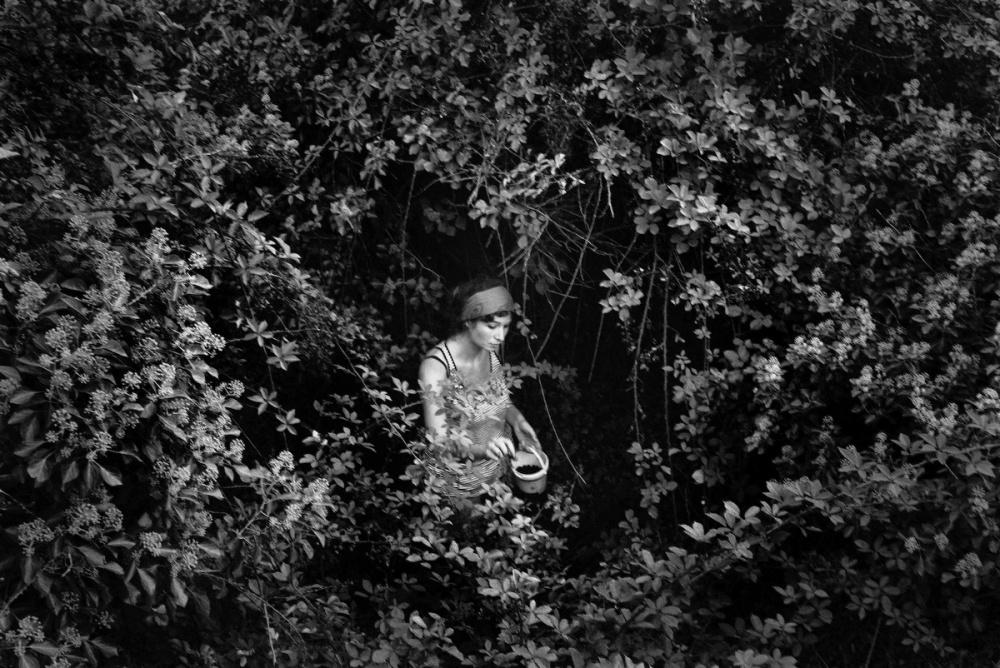 Art and Documentary Photography - Loading On this side of the mountain_03.JPG