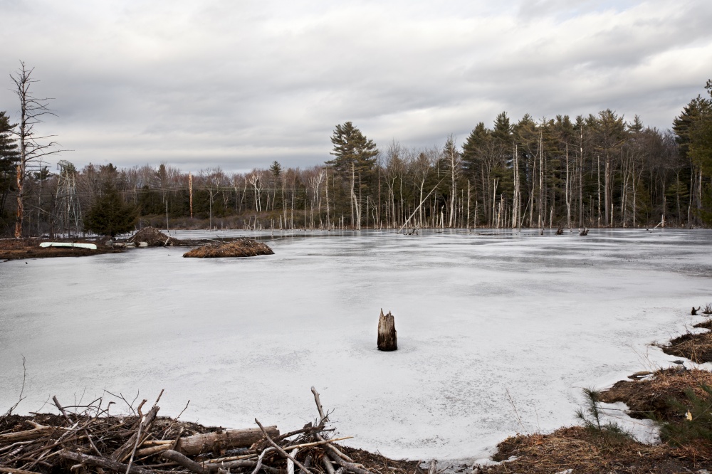 Art and Documentary Photography - Loading Green Canoe.jpg