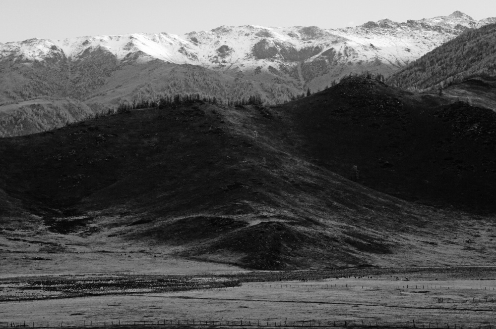 Art and Documentary Photography - Loading tahir_un_21.jpg