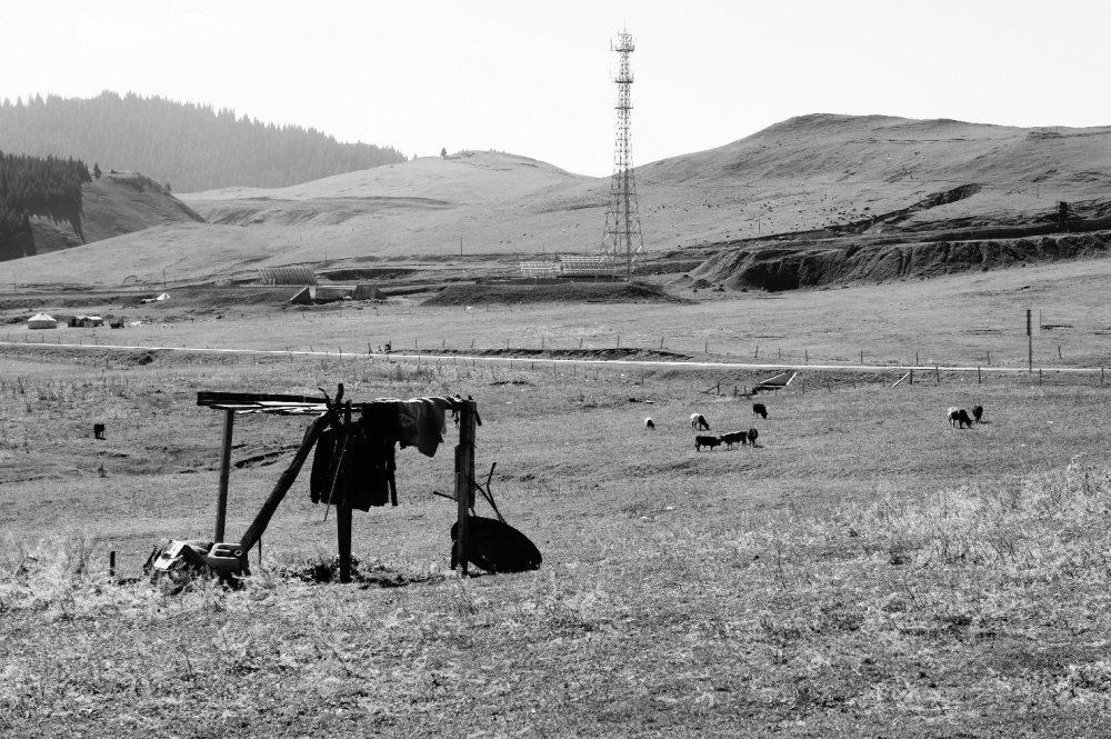 Art and Documentary Photography - Loading tahir_un_23.jpg