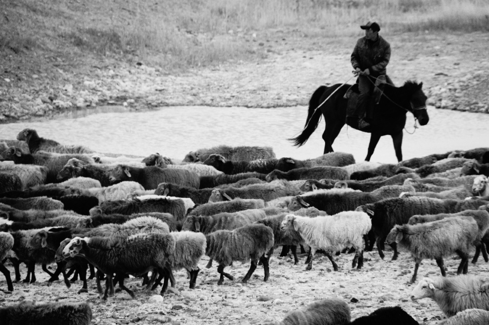 Art and Documentary Photography - Loading tahir_un_30.jpg