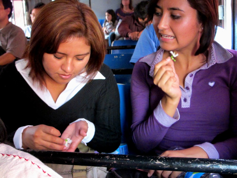 Art and Documentary Photography - Loading Gema y ruby con flor en el camion urbano.egg