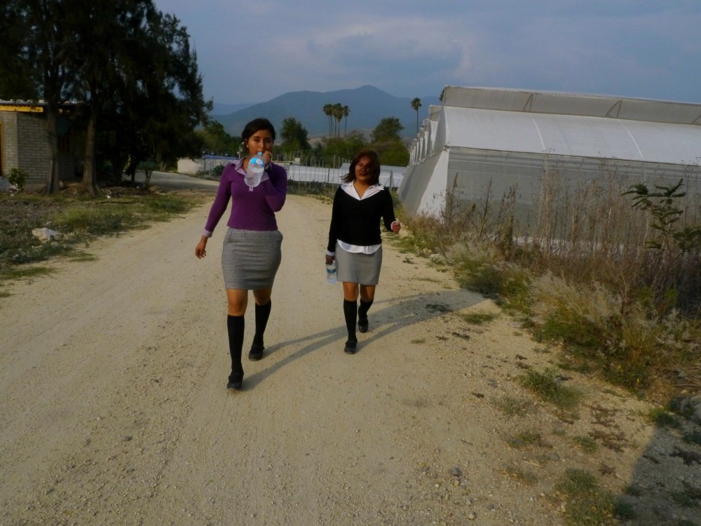 Art and Documentary Photography - Loading Gema y Ruby camino al sembradío de pepinos..egg