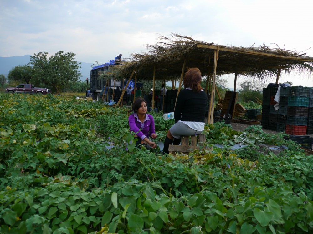 Art and Documentary Photography - Loading Ruby y Gema en el plantío de pepino.egg