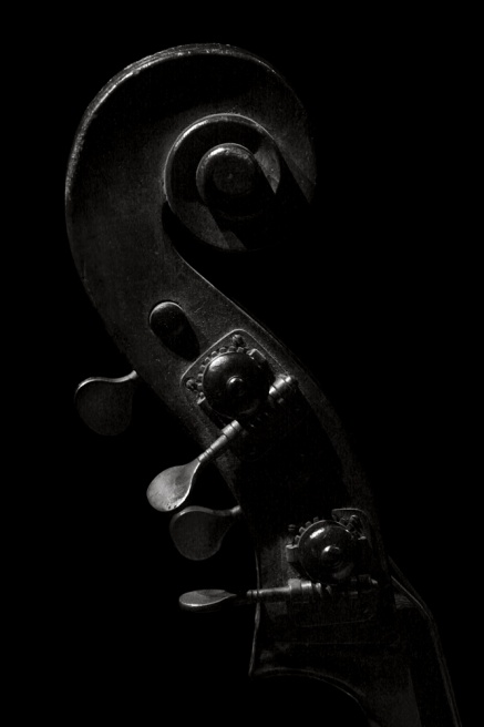 Art and Documentary Photography - Loading Contrabaixo.jpg