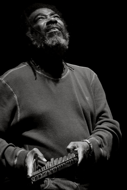 Art and Documentary Photography - Loading Wadada Leo Smith2 2010.jpg