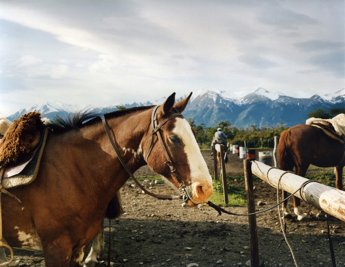 Art and Documentary Photography - Loading Travel_31_Horses_Estancia_Patagonia_Argentina.jpg