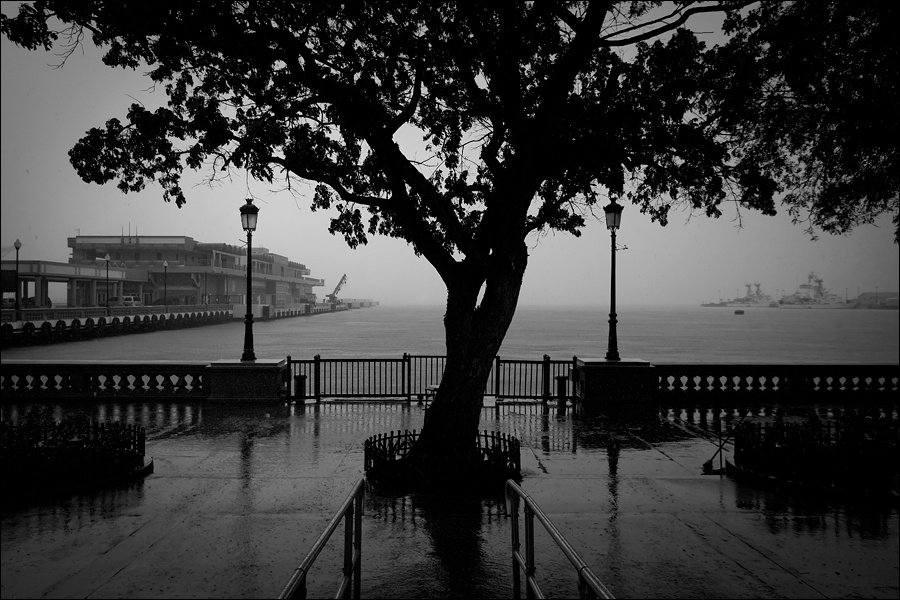 Art and Documentary Photography - Loading ArbolW.jpg