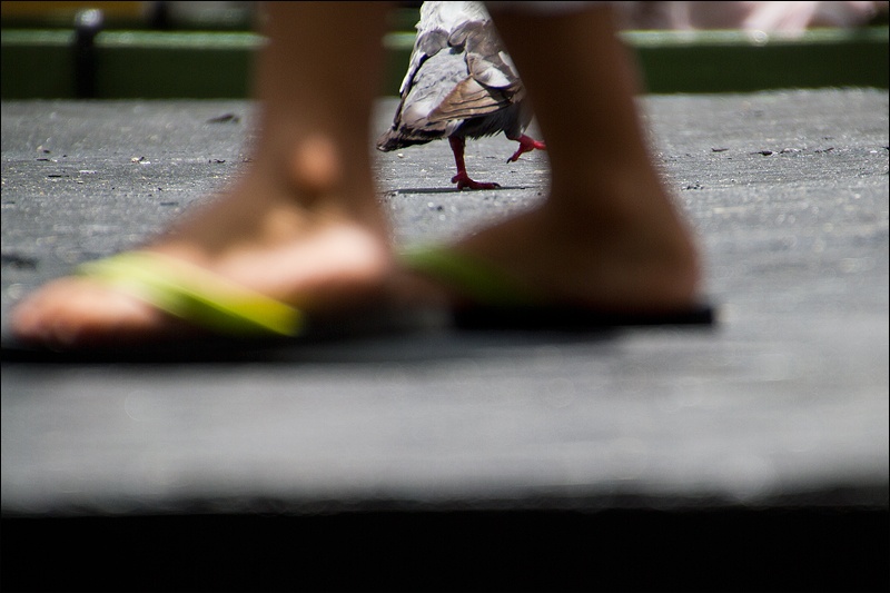 Art and Documentary Photography - Loading pies-y-palomaW.jpg