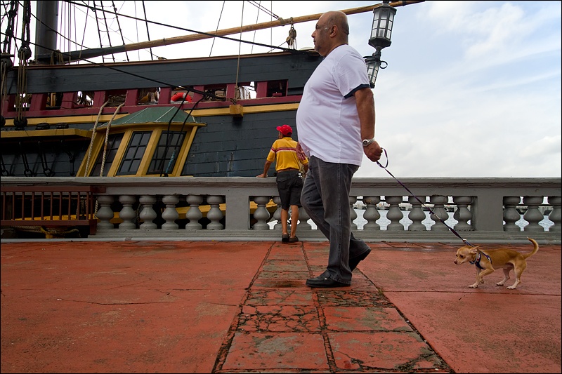 Art and Documentary Photography - Loading hombre-y-chihuahuaW.jpg