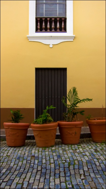Art and Documentary Photography - Loading ventana-arzobispado-y-tiestosW.jpg