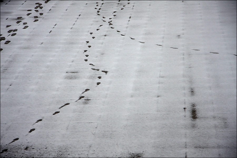 Art and Documentary Photography - Loading Chic-pisadasW.jpg