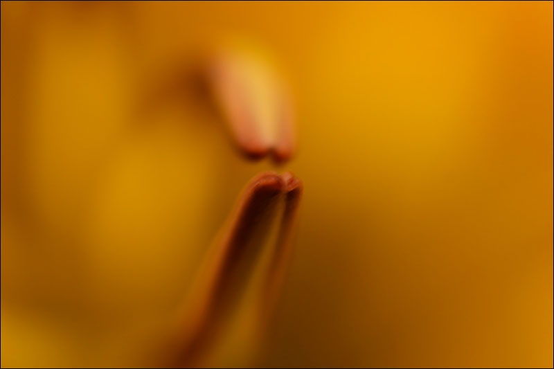 Art and Documentary Photography - Loading Touch-Me.jpg