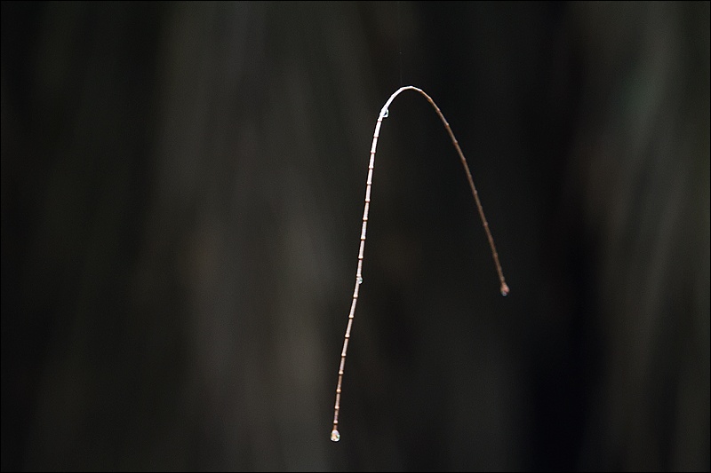 Art and Documentary Photography - Loading arco-flotando-2W.jpg