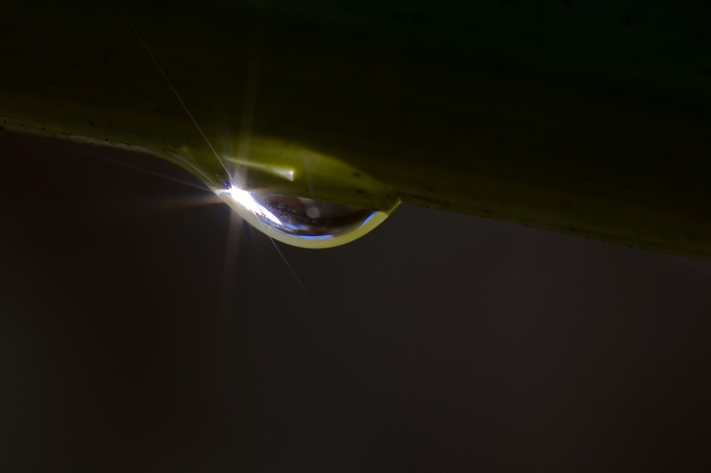 Art and Documentary Photography - Loading gota-2 Modif W.jpg