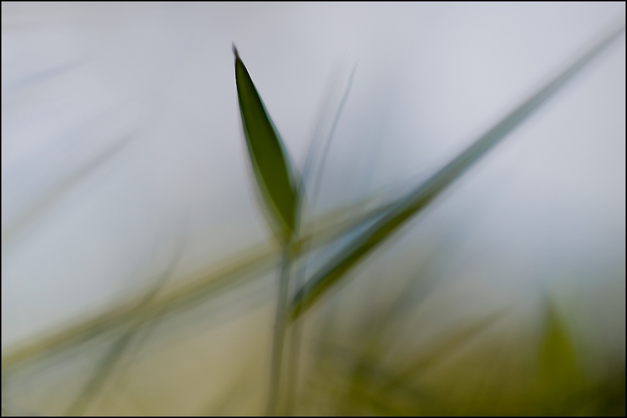 Art and Documentary Photography - Loading hoja-fondo-blancoW.jpg
