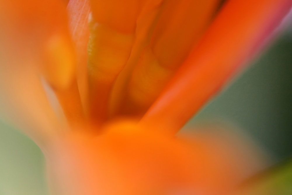 Art and Documentary Photography - Loading Gozo.jpg