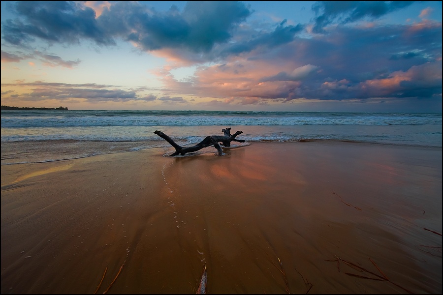 Art and Documentary Photography - Loading Tronco2W.jpg
